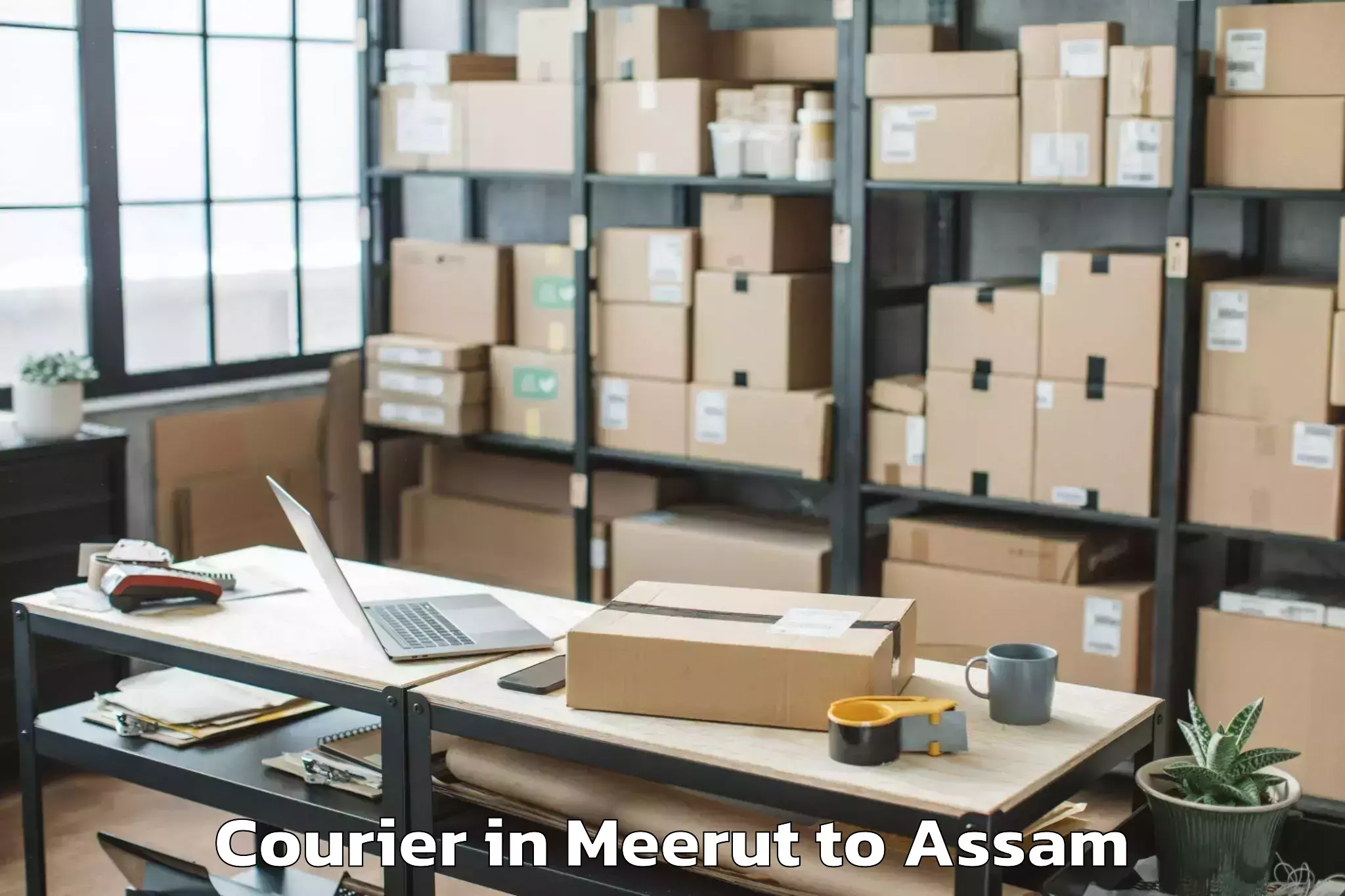 Expert Meerut to Biswanath Chariali Courier